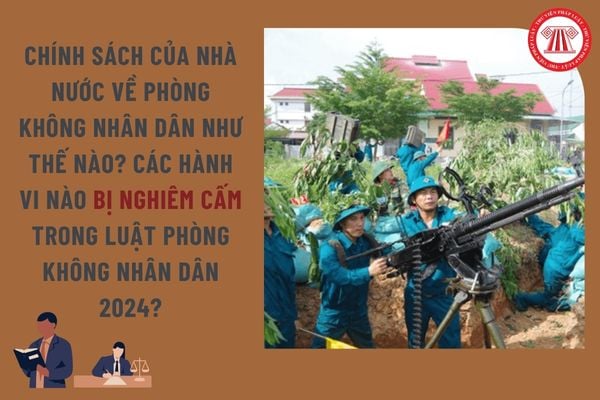 Pháp luật