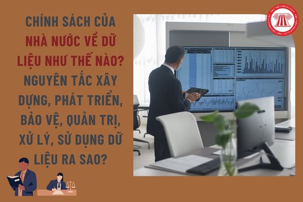Pháp luật