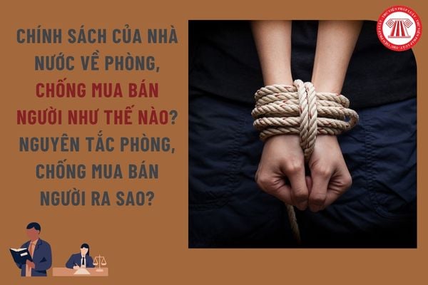 Pháp luật