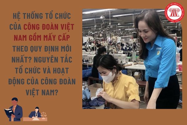 Pháp luật