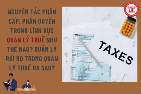 Pháp luật