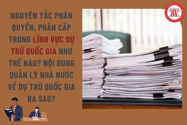Pháp luật