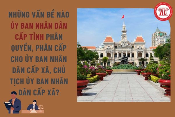 Pháp luật