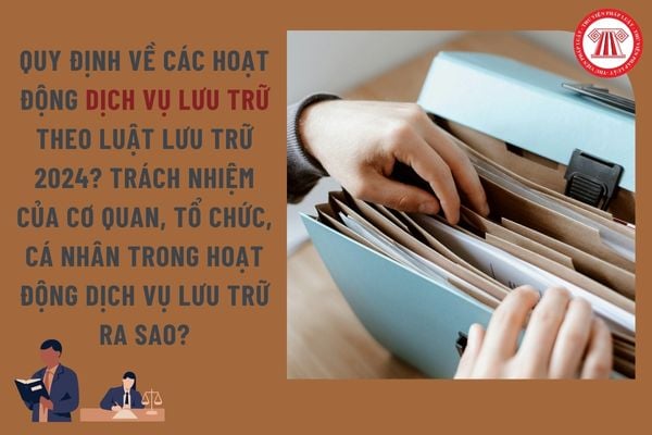 Pháp luật