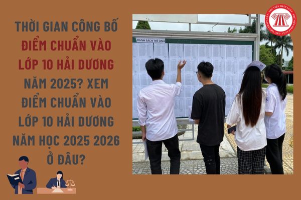 Pháp luật