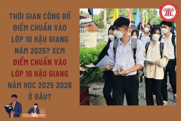 Pháp luật