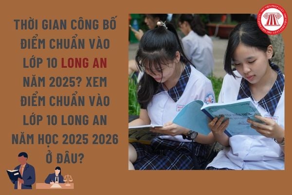 Pháp luật