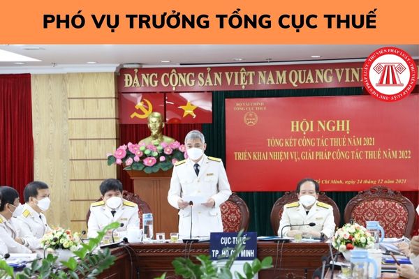 Tiêu chuẩn trình độ chuyên môn của Phó Vụ trưởng Tổng cục Thuế là gì? Phó Vụ trưởng Tổng cục Thuế cần có tiêu chuẩn gì về phẩm chất đạo đức, lối sống?