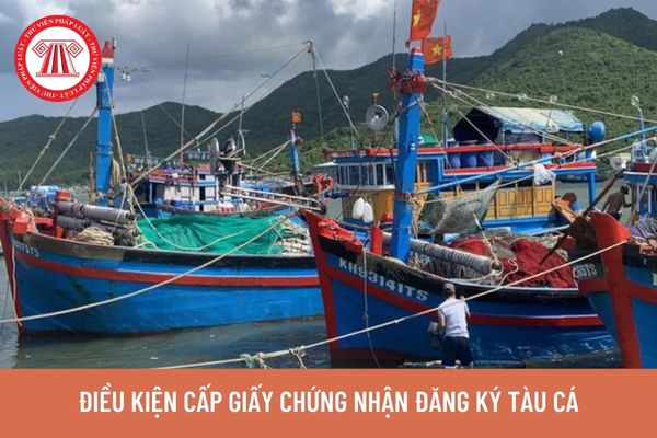 Điều kiện cấp Giấy chứng nhận đăng ký tàu cá năm 2023 là gì? Quyền và nghĩa vụ của chủ tàu cá như thế nào?