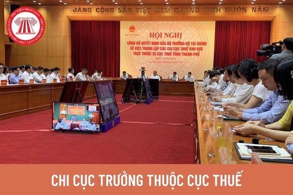 Tiêu chuẩn trình độ chuyên môn của Chi cục trưởng thuộc Cục Thuế theo quy định mới nhất là gì? 