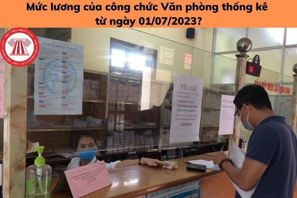 Tiền lương của công chức Văn phòng thống kê từ ngày 01/07/2023 là bao nhiêu? Tiêu chuẩn của công chức Văn phòng thống kê là gì?