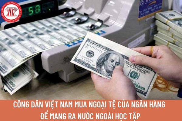 Công dân Việt Nam mua ngoại tệ của ngân hàng