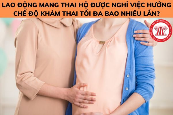 mang thai hộ