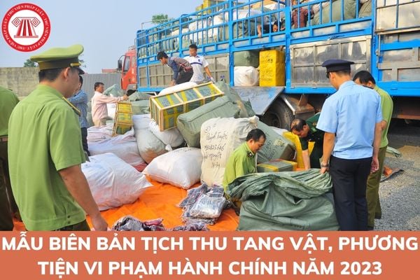 mẫu tịch thu tang vật