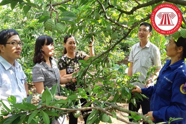 Hội Làm vườn Việt Nam