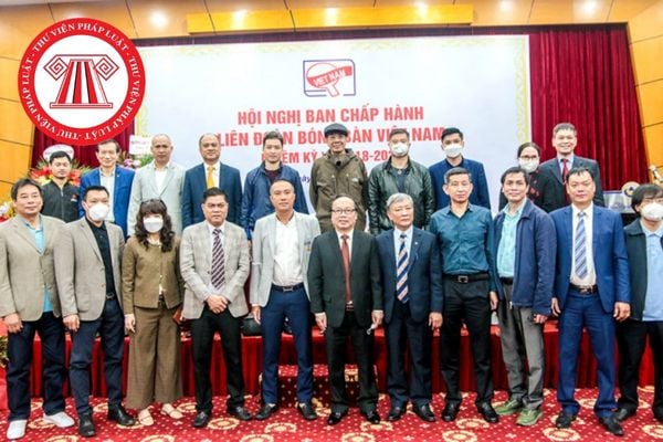 Liên đoàn Điền kinh Việt Nam