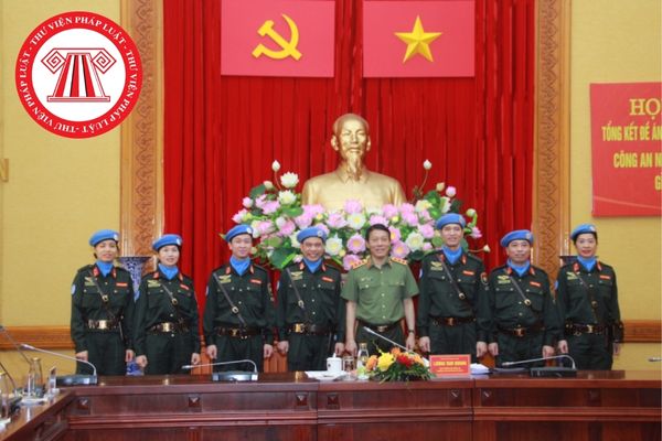 Chỉ huy trưởng lực lượng Việt Nam tại phái bộ