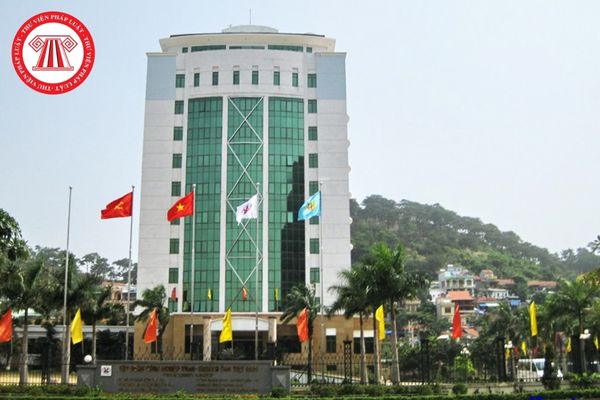 Tập đoàn Công nghiệp than - Khoáng sản Việt Nam