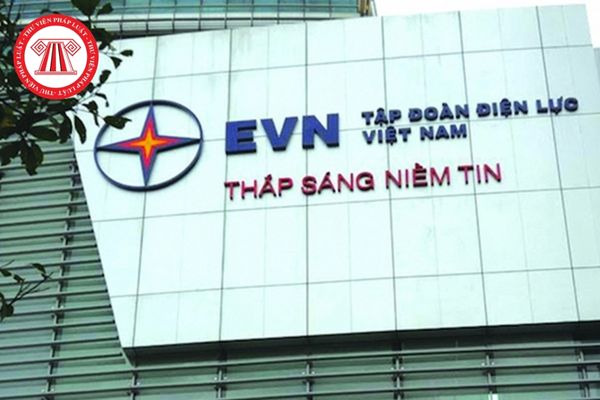 Tập đoàn Điện lực Việt Nam