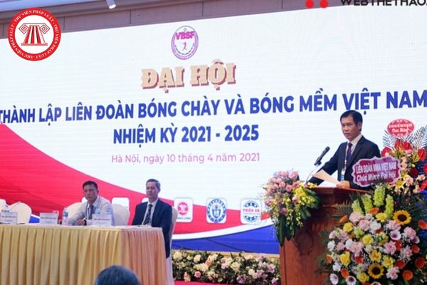 Liên đoàn Bóng chày và Bóng mềm Việt Nam