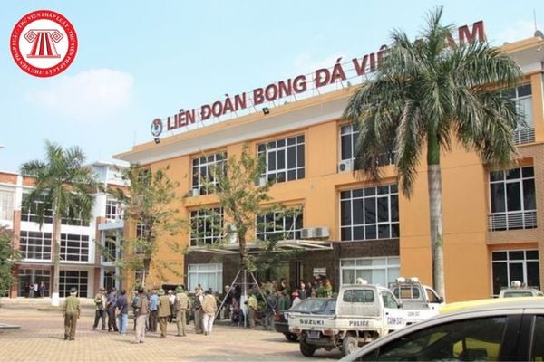 Liên đoàn Bóng đá Việt Nam