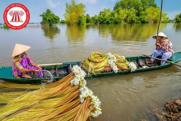 Đồng bằng sông Cửu Long