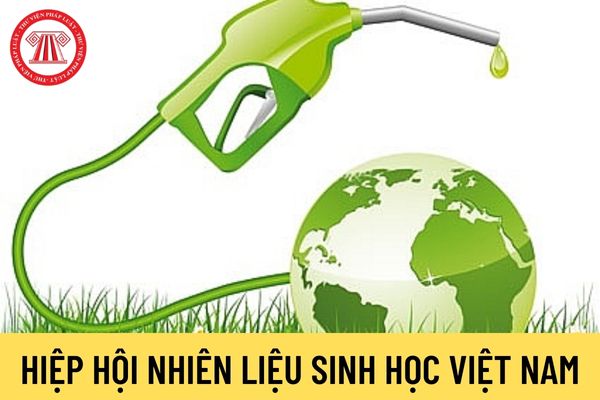 Hiệp hội Nhiên liệu sinh học Việt Nam