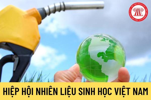 Hiệp hội Nhiên liệu sinh học Việt Nam