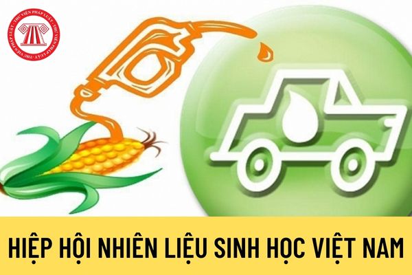 Thách thức và hạn chế trong phát triển nhiên liệu sinh học