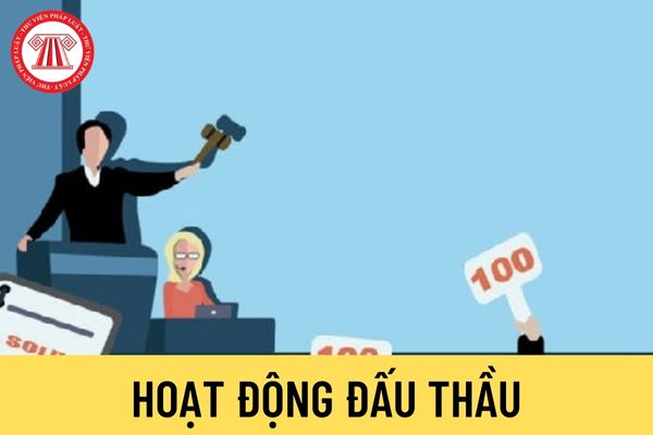 Hoạt động đấu thầu