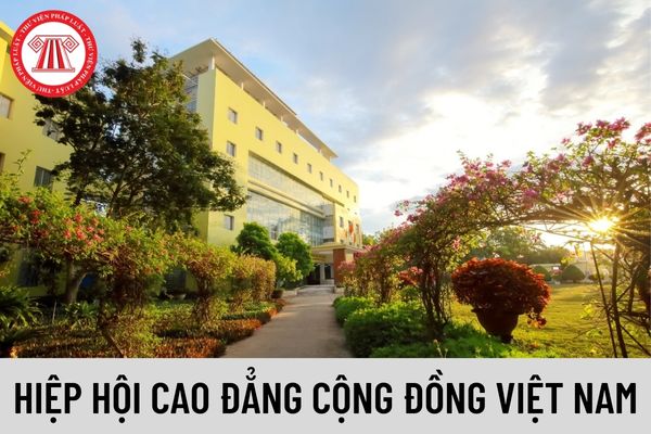 Hiệp hội Cao đẳng cộng đồng Việt Nam