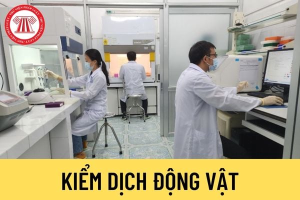 Kiểm dịch động vật, sản phẩm động vật