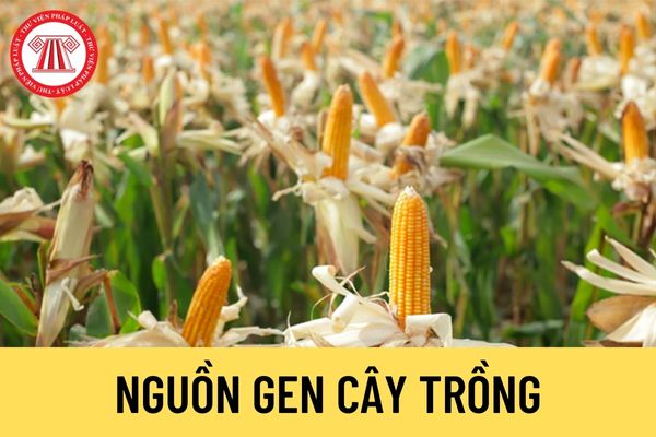 Nguồn gen cây trồng