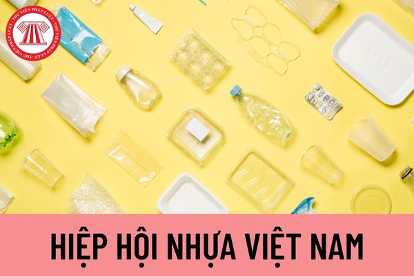 Hiệp hội Nhựa Việt Nam