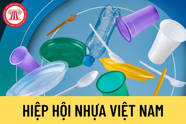 Hiệp hội Nhựa Việt Nam