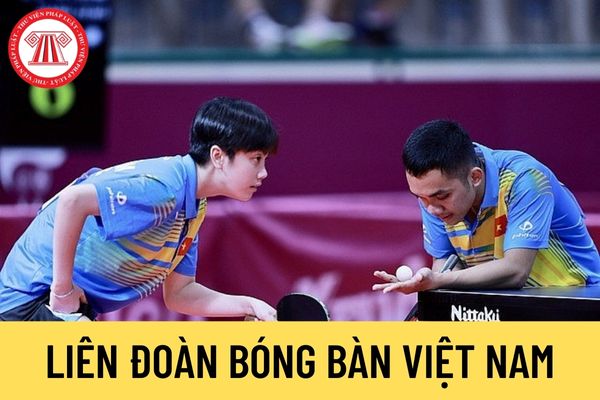 Liên đoàn Bóng bàn Việt Nam