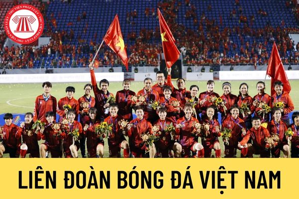 Liên đoàn Bóng đá Việt Nam