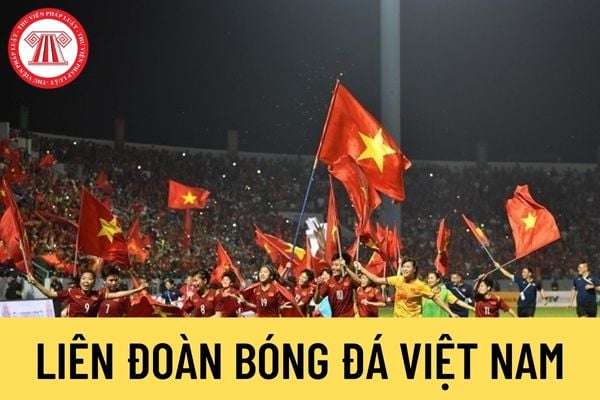 Liên đoàn Bóng đá Việt Nam