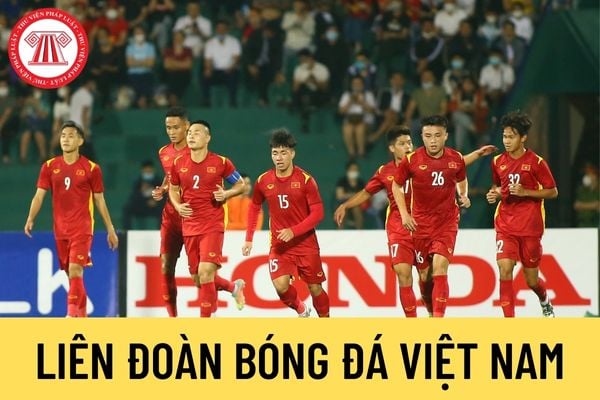 Liên đoàn Bóng đá Việt Nam