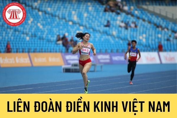 Liên đoàn Điền kinh Việt Nam