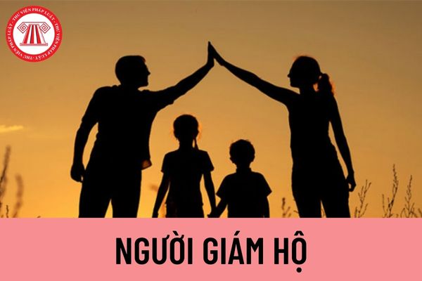 Người giám hộ