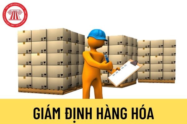 Giám định hàng hóa