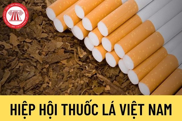 Hiệp hội Thuốc lá Việt Nam