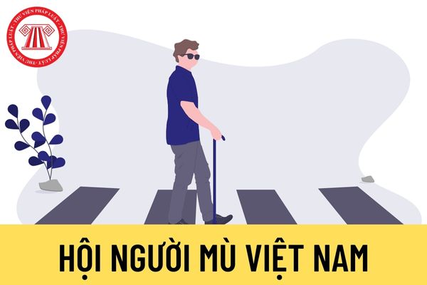 Hội Người mù Việt Nam