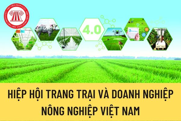 Hiệp hội Trang trại và Doanh nghiệp nông nghiệp Việt Nam