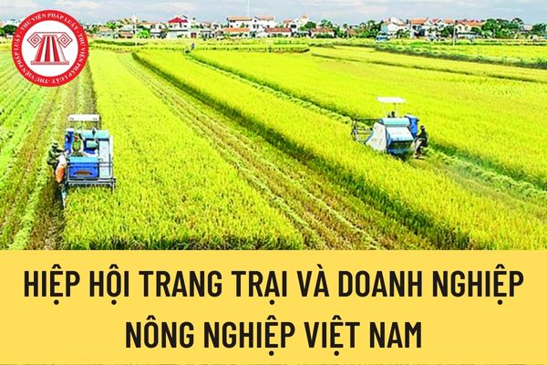 Hiệp hội Trang trại và Doanh nghiệp nông nghiệp Việt Nam