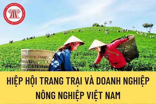 Hiệp hội Trang trại và Doanh nghiệp nông nghiệp Việt Nam