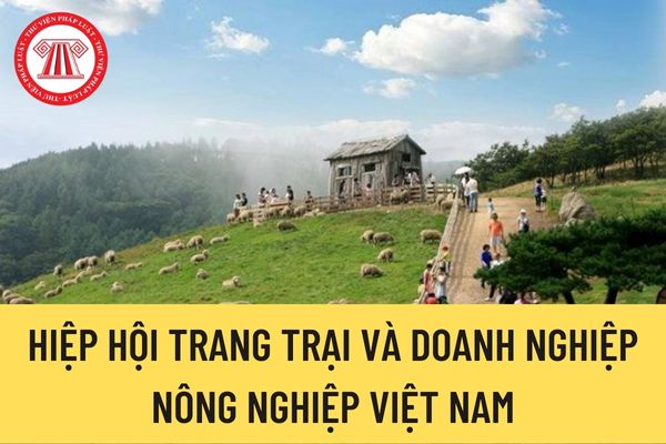 Hiệp hội Trang trại và Doanh nghiệp nông nghiệp Việt Nam