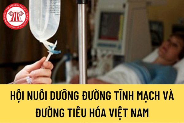 Hội Nuôi dưỡng đường tĩnh mạch và đường tiêu hóa Việt Nam