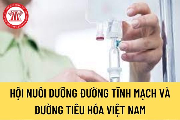 Hội Nuôi dưỡng đường tĩnh mạch và đường tiêu hóa Việt Nam